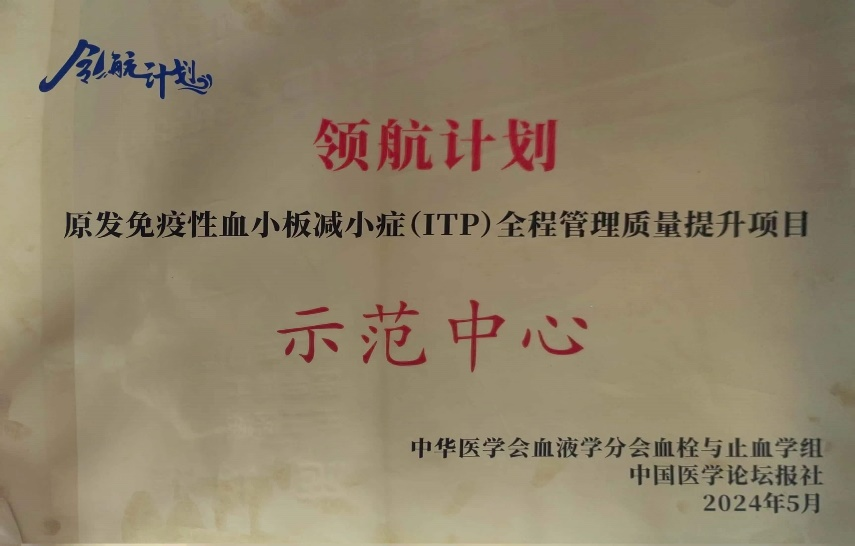 17162550503584.png