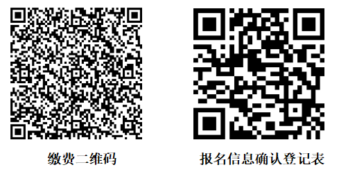 17550461296069.png