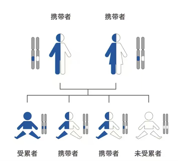 17556716328396.png